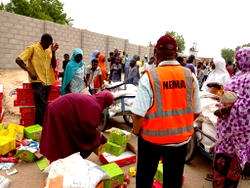 NEMA commences food distribution to 26,000 Borno IDPs households