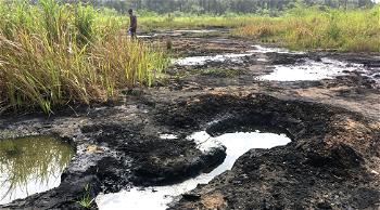 4 MONTHS AFTER OIL SPILL: Bayelsa community roars at govt, NAOC