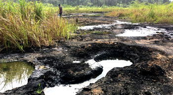 4 MONTHS AFTER OIL SPILL: Bayelsa community roars at govt, NAOC