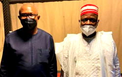 [UPDATED] Again, Kwankwaso hints alliance with Peter Obi ‘will happen’