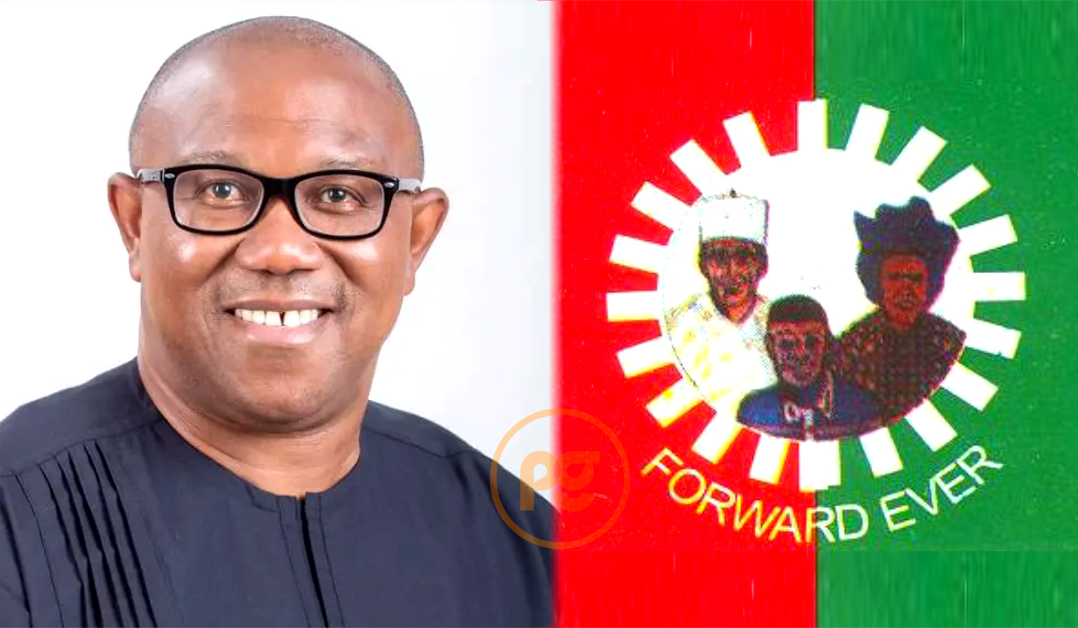 2023: Peter Obi only Labour Party’s Presidential candidate in Nigeria — NLC