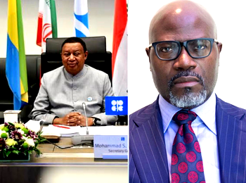 OPEC lauds ARDA over achievements in Africa
