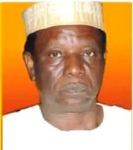 Achievements of Nigeria's State Police, According to Tonnie Iredia