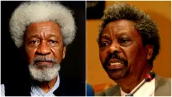 Prof. Wole Soyinka’s brother, Femi dies at 85