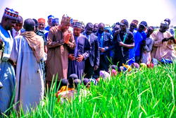 Damasak: Bagudu, Zulum tour Borno’s 3,000-hectare rice farm