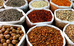 Agric policies failing as agro-imports exceed exports by 120% in Q1’22