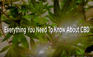 Everything you need to know about CBD