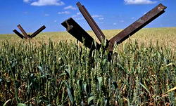 Ukraine war to plunge millions into food insecurity