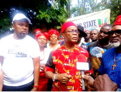 We’ll vote massively for Tinubu – Igbo group in Lagos declares