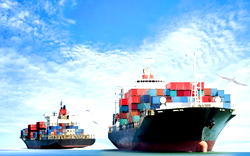 Trade expert advises importers, exporters&nbsp;<br>on Customs, trade matters