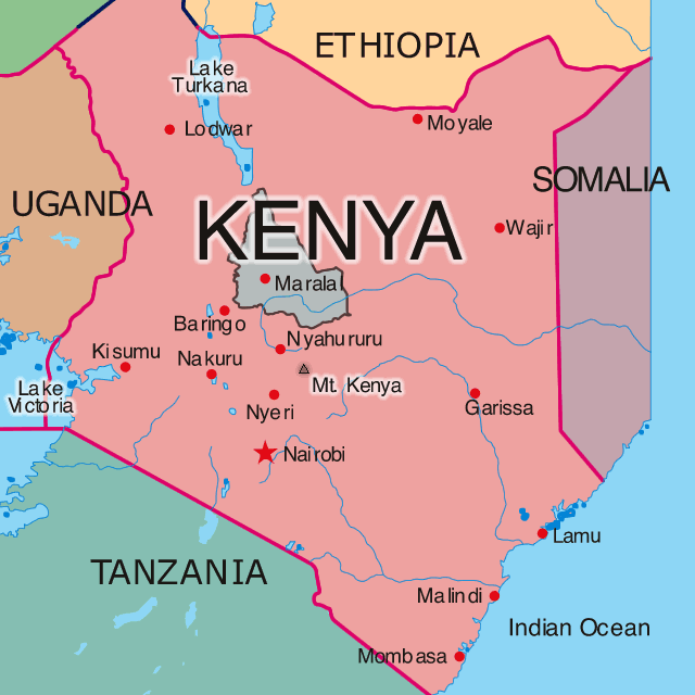 17 children killed in Kenya school fire