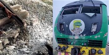 Kidnapped train passengers vomiting blood, may die from snake bites — Mamu