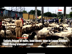 [VIDEO] Sallah: Prices of rams, food items soar in Lagos, traders fault rising transport cost
