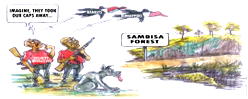 Cartoon: Sambisa Forest secured