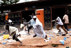 Tension in Benue as Miyetti Allah alleges 20 cows poisoned, 200 rustled