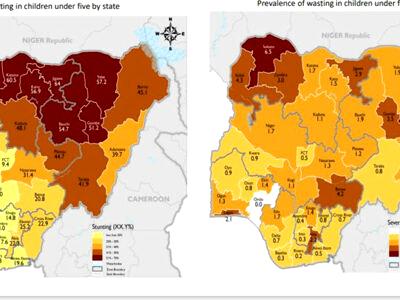 How rising insecurity, violence worsen malnutrition in Nigeria