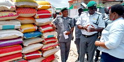 Customs impounds trailer-load of South African maize in Ogun