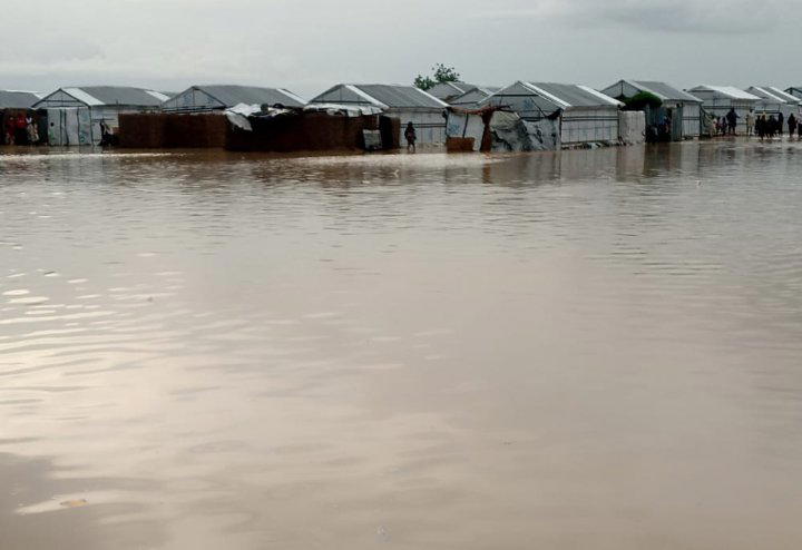 Anguish as flood ravages Borno, Yobe towns; displaces natives, graves