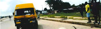 Cow saga: Commercial bus driver, conductor among suspects; now in Panti