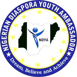 2023: Nigerians in Diaspora counsel youths to eschew violence