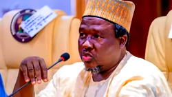 Nigeria must reduce import dependence to develop – Masari