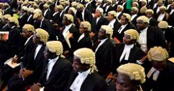 NBA: Nigerian lawyers go to poll