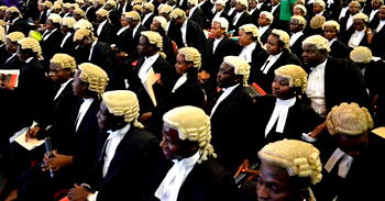 S’Court judgement on Yobe North Senatorial seat is injustice — Lawyers 