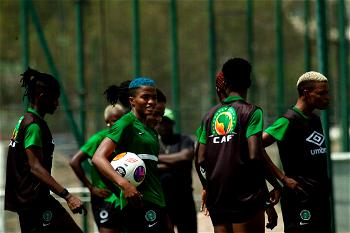 Super Falcons seek to prove point against New Zealand