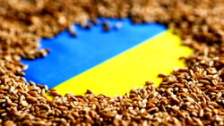 Ukraine: Black Sea grain shipment success raises hope for more
