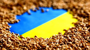 Ukraine: Russia’s war, real threat to global food security — Enifome