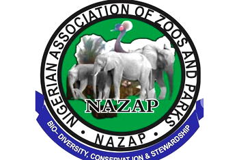 NAZAP condemns kidnap of ex-president’s wife, Bola Abioye