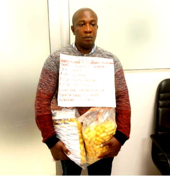 NDLEA nabs 8 for attempting to import Cocaine to Nigeria through Lagos, Abuja, Enugu Airports