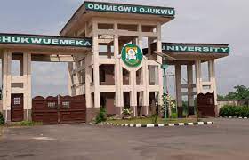 Declining life expectancy in Nigeria worrisome, says Ojukwu Varsity ...