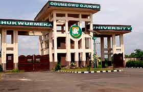 Declining life expectancy in Nigeria worrisome, says Ojukwu Varsity Hospital CMD