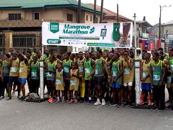 Government, others urged to preserve the mangrove