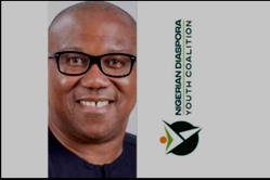 2023: Diaspora Coalition,NDYC, Backs Peter Obi’ Presidential Bid