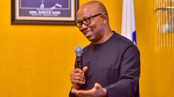 Peter Obi: Rejected stone has become chief corner stone —Ohanaeze