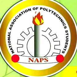 Poor funding of polytechnics responsible for unemployment, underdevelopment, says NAPS