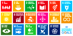 2030 SDGs: Over $300bn required to close devt gaps in Nigeria — UN