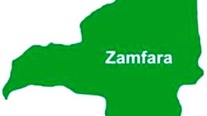 APC links banditry in Zamfara to retired General