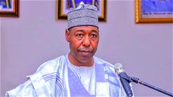My life or his publicity? When Zulum made a call