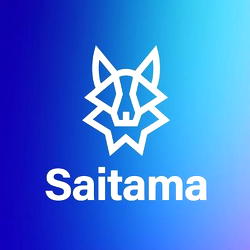 Saitama Official: Why E-Bay is Setting Its Sights on NFTs and the Metaverse