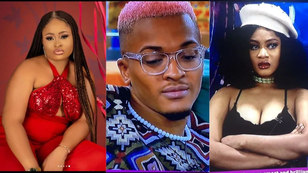 BBNaija: You deserve Groovy, you were bold enough to go after him – Amaka confronts Phyna