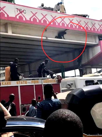 Teenager threatens to commit suicide if Buhari does not resign