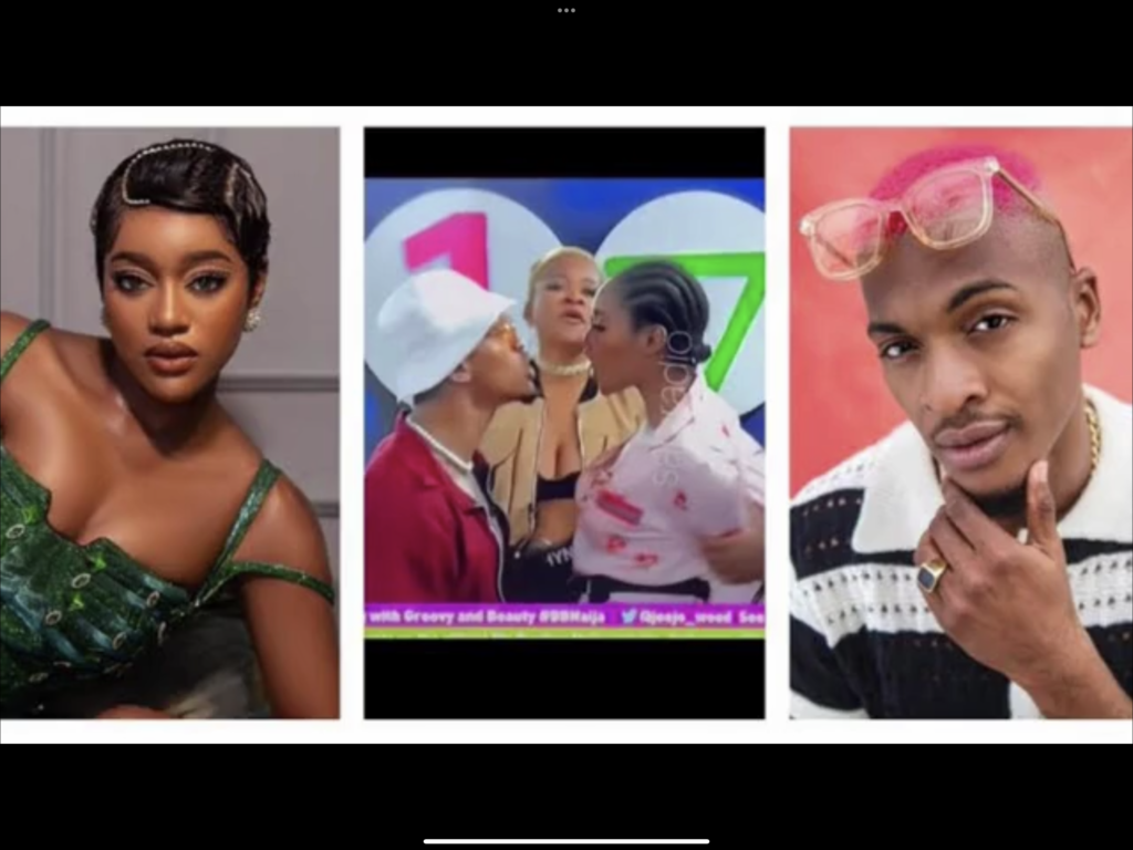 [VIDEO] BBN 7 Daniella and Khalid hump, Amaka’s hideandseek, and