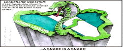 Cartoon: Snakey leaders