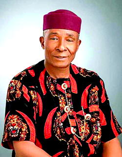 Can FN Nwosu Fix Abia APC?