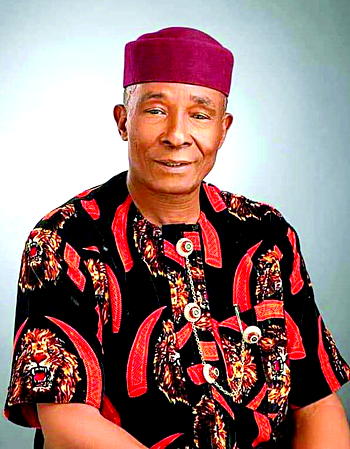 Can FN Nwosu Fix Abia APC?