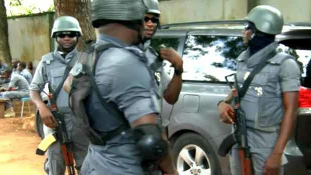 NIS Arrests Cameroonian, 2 Others With Pistols, Ammunition, Motorcycle In C’River 59 Joint border patrol at Nigerias border points