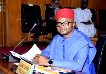 Majority Leader Anambra State House of Assembly, slumps, dies in South Africa